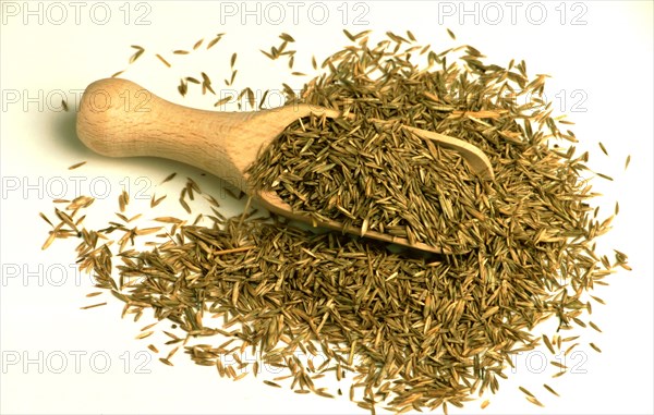 Medicinal herbs: Hay flower seeds