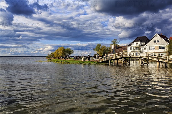 View of the shore at Steinhuder Meer