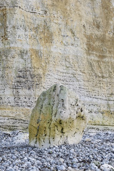 Chalk flint rocks on the beach