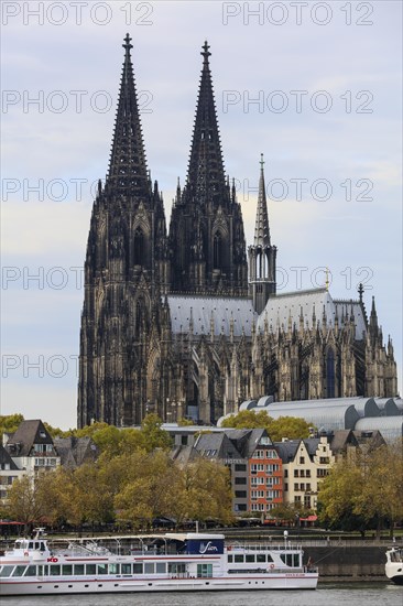 View from the Rhine bank Cologne Deutz over the Rhine to the Cologne Cathedral or High Cathedral Church Saint Peter