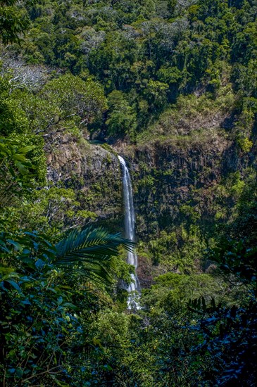 Waterfall in the Montagne dÂ´Ambre National Park