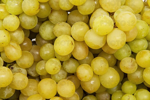 Grapes