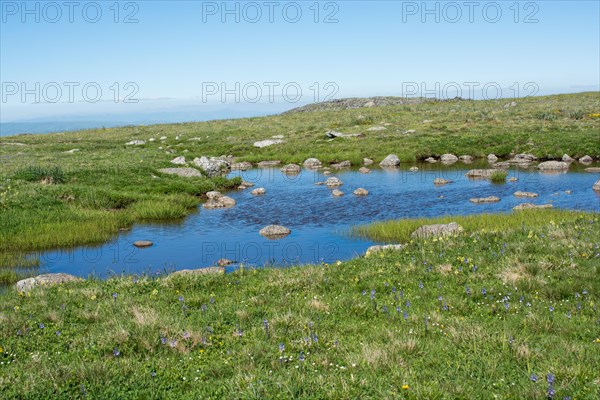 Highland lake in green natural background in Artvin province of Turkey