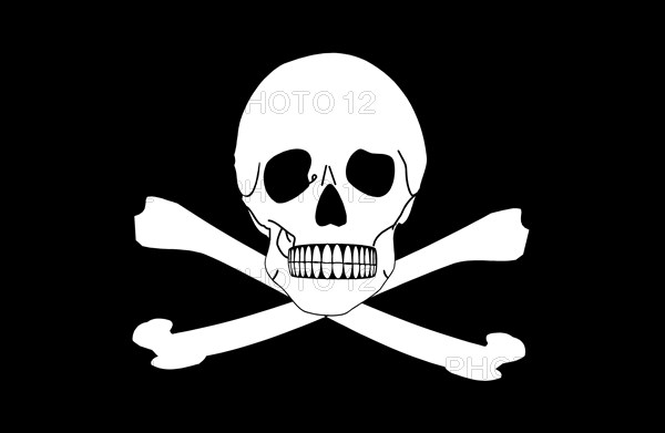 Pirate flag