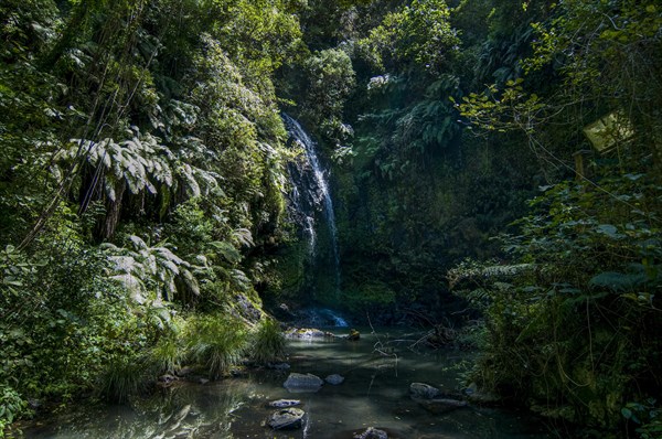 Waterfall in the Montagne dÂ´Ambre National Park