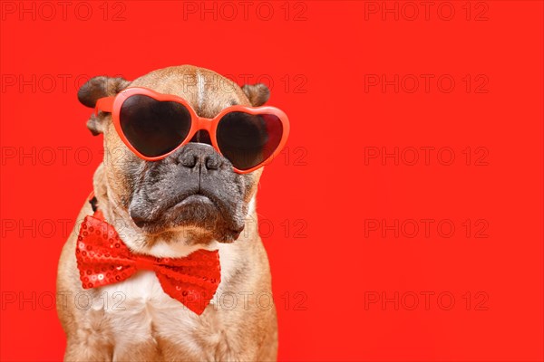 Funny French Bulldog dog wearing heart shaped Valentine's Day glasses and bow tie on red background with copy space