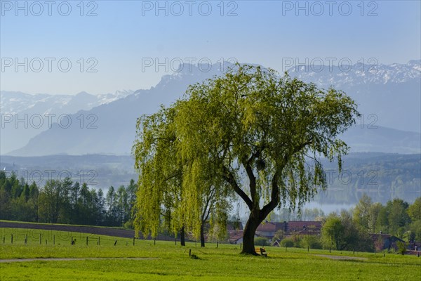 View from Bicheln