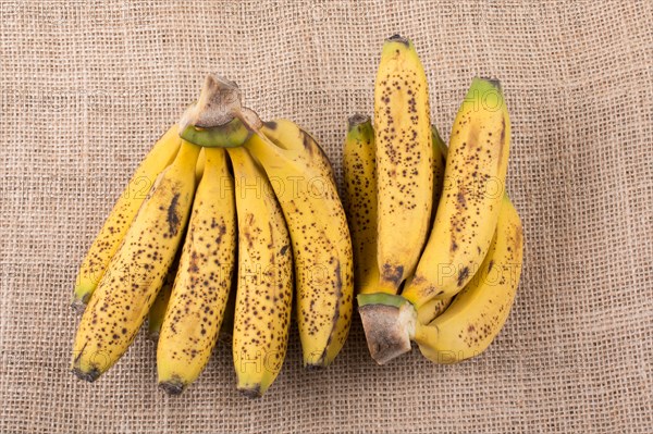 Bunch of yellow freckled bananas on a canvas texture