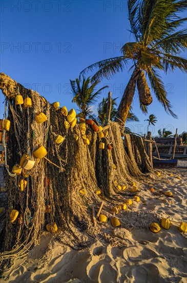 Fisher nets drying