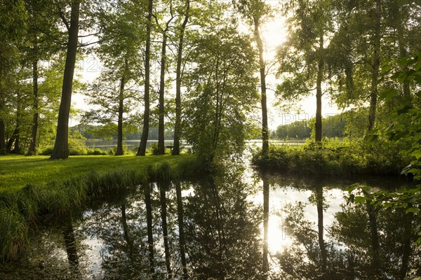 Schaalsee near Seedorf