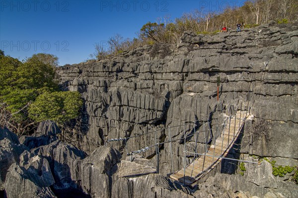 Hanging bridge in the Tsingy plateau in the Ankarana Special Reserve