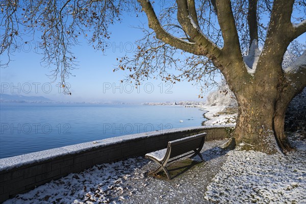 View of Lake Constance from the snow-covered Mettnaupark