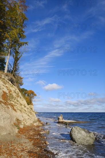 Brodtener Steilufer on the Baltic Sea