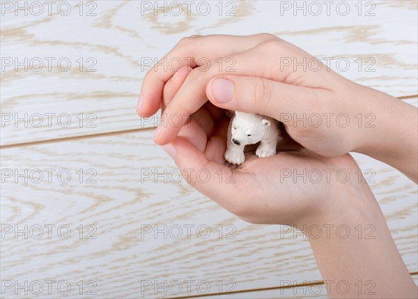 Hand holding a Polar bear model on a wooden background