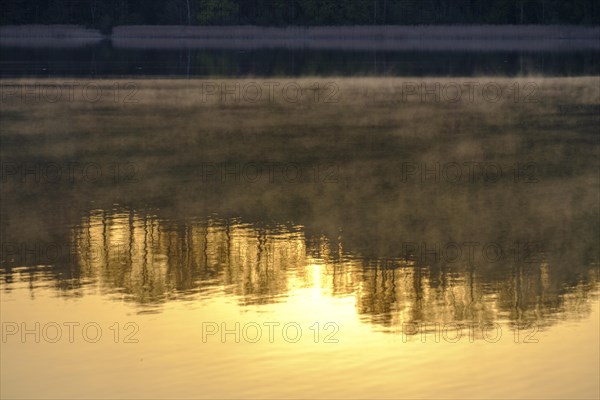 Morning fog over Lake Tachingen