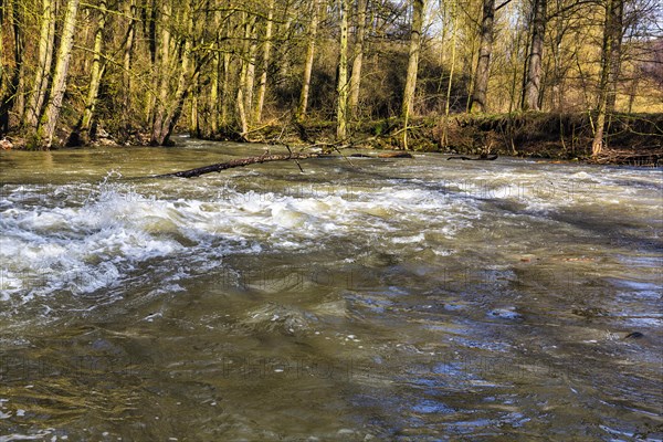 River landscape