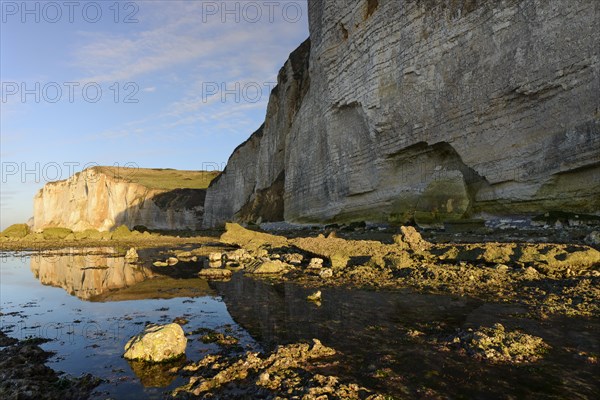 Alabaster coast with chalk cliffs near Etretat at low tide