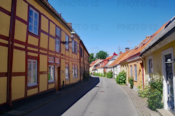 Narrow residential street with cosy houses