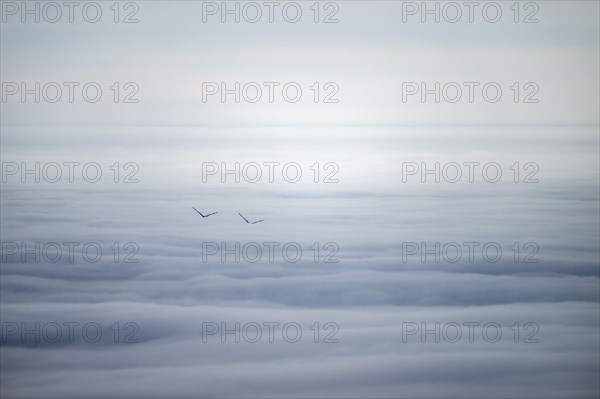 Sea of clouds with peaks of two wind turbines