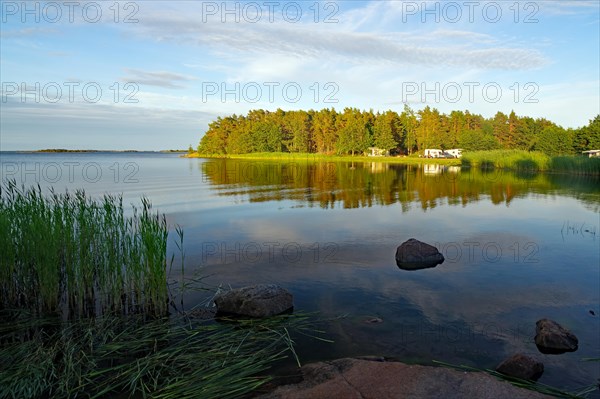Trees and calm bay of the Baltic Sea in the evening light