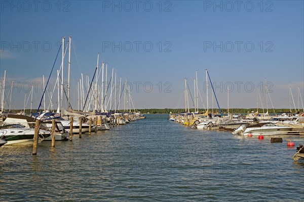 Large marina with leisure boats