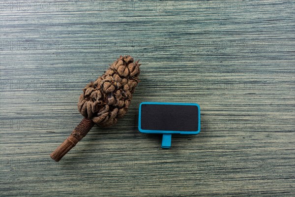 Mini notice board beside a tree pod