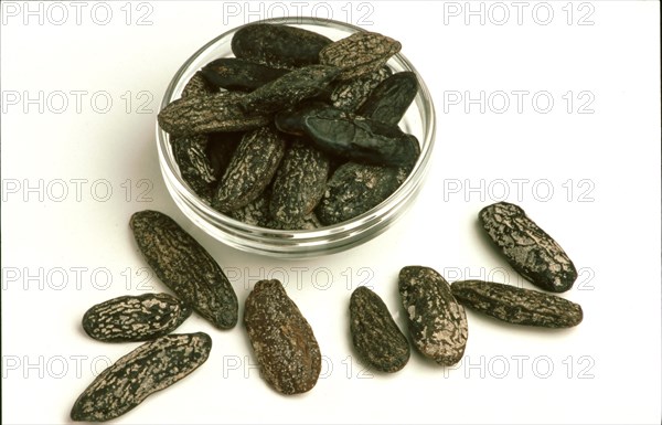 Natural remedy Tonka beans from the cumaru
