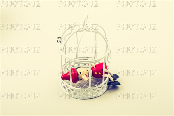 Metal cage and Little puppet pinocchio made of wood