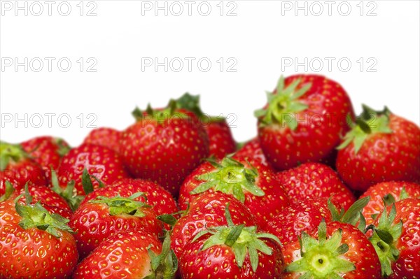 Harvested garden strawberries