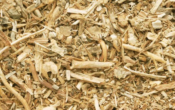 Medicinal herbs: Sarsaparilla root