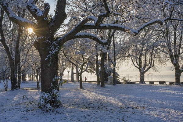 View of Lake Constance from the snow-covered Mettnaupark