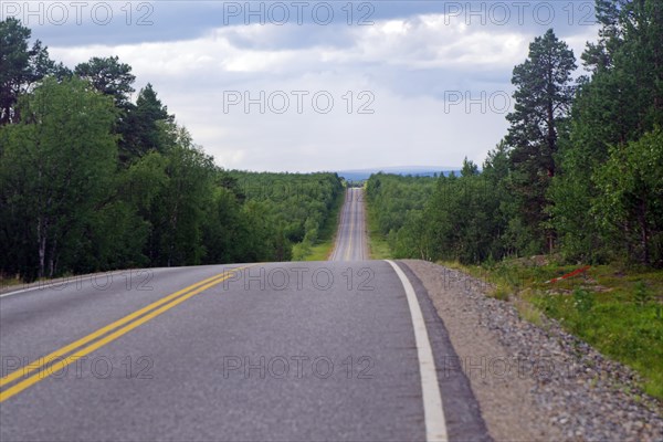 Endless straight road leads up and down through forests