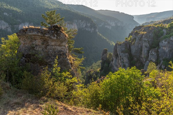 Gorges of Jonte in Cevennes National Park. Meyruies