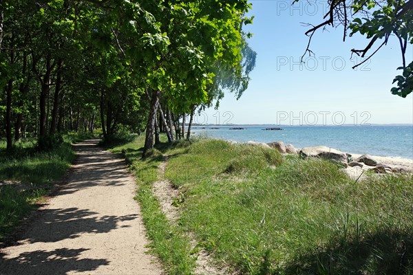 Narrow unpaved path leads along the sea