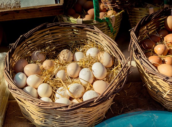 Organic fresh farm eggs in the straw basket