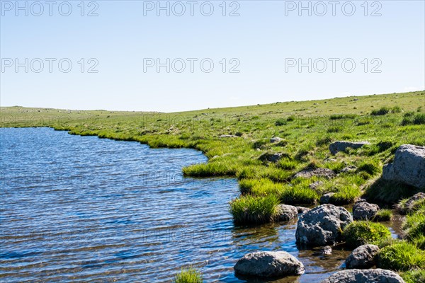 Highland lake in green natural background in Artvin province of Turkey