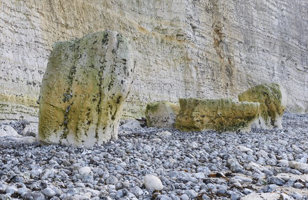 Chalk flint rocks on the beach