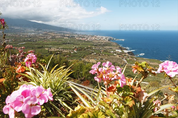 View of the Orotava Valley