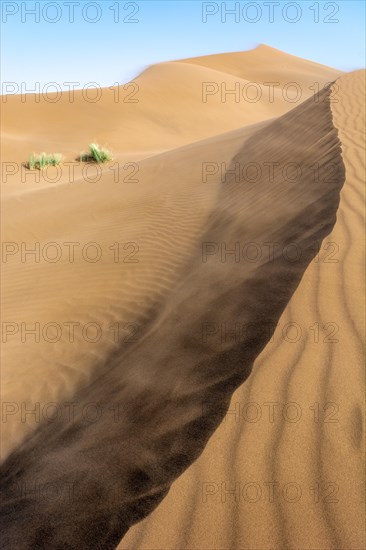 Wanderduenen in der Wueste Erg Chebbi in Suedmarokko. Merzouga