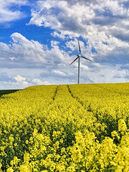 Wind turbine in a rural area