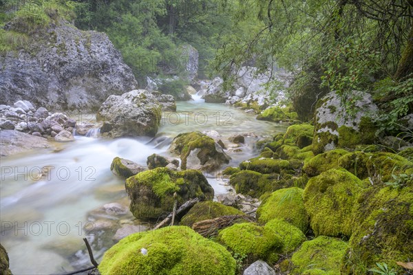 Soca and mossy stones