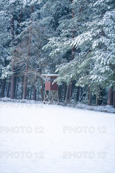 High seat at the edge of the forest in the snow