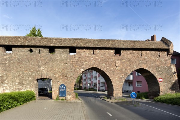 Nibelungen Museum