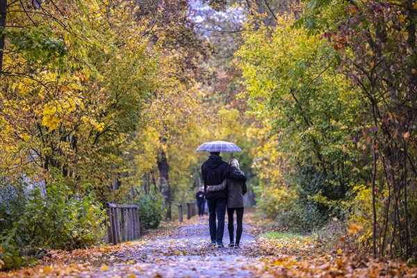 Golden October with walkers