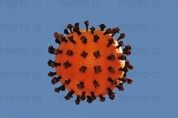 Simple model of an orange corona virus with clove