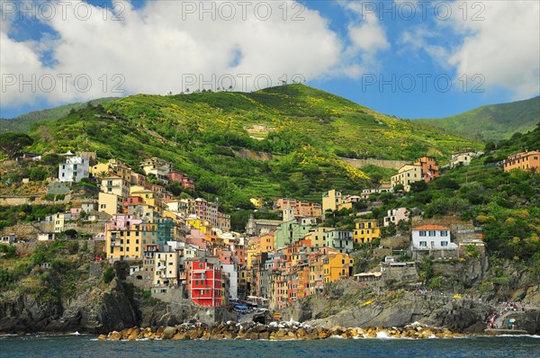 Riomaggiore in the Cinque Terre