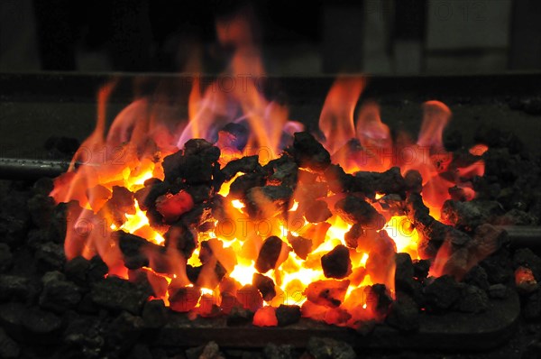 Glowing coal in a forging forge