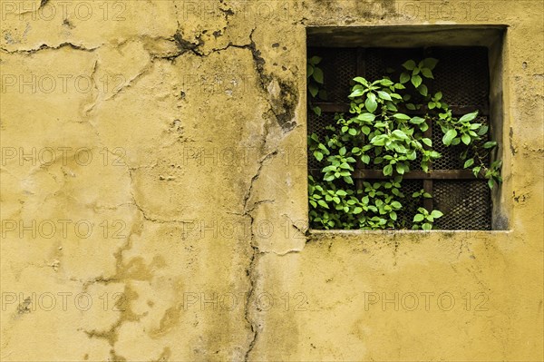 Colorful wall