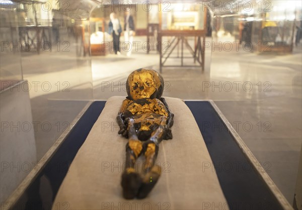 Gilded mummy of a baby in a glass case