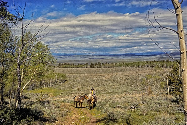 Cowboy with pack mule